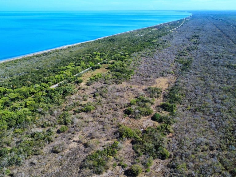 Aerial view of coastal landscape with turquoise ocean, forested area, and cleared patches of land along the shoreline