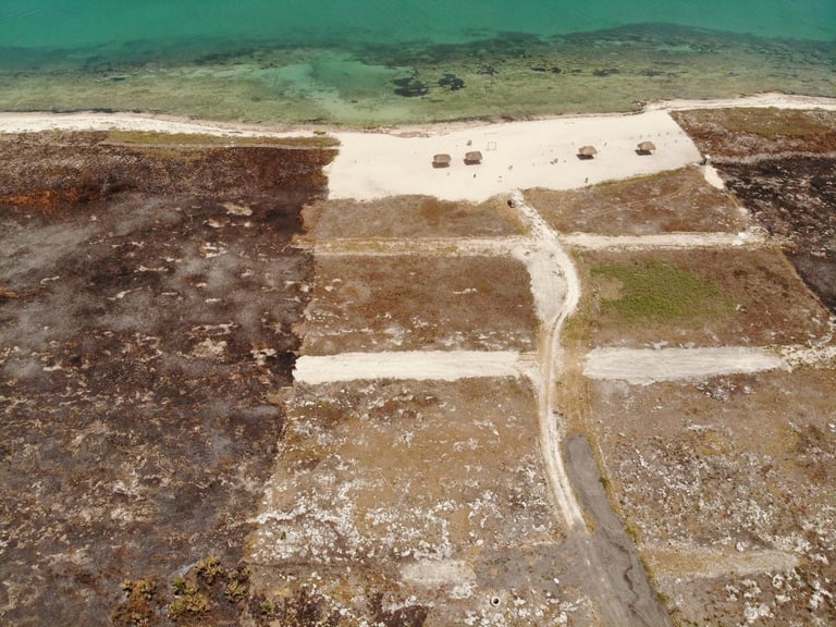 Aerial view of coastal land with winding dirt road, parked vehicles, turquoise water, and sandy beach