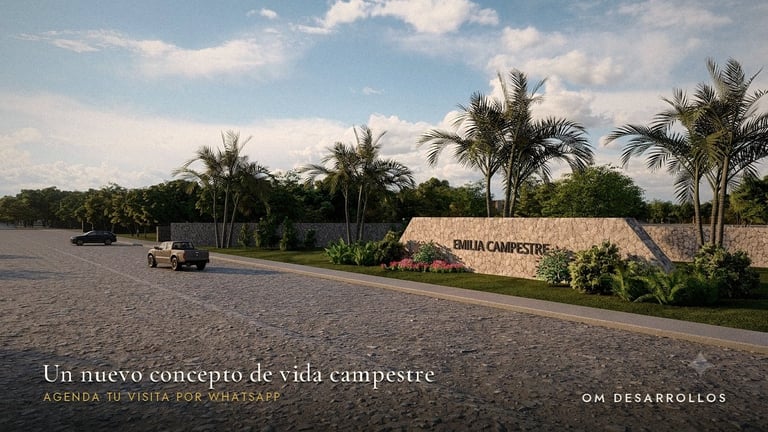 Campestre development entrance with palm trees, curved wall sign, and dirt road under cloudy sky