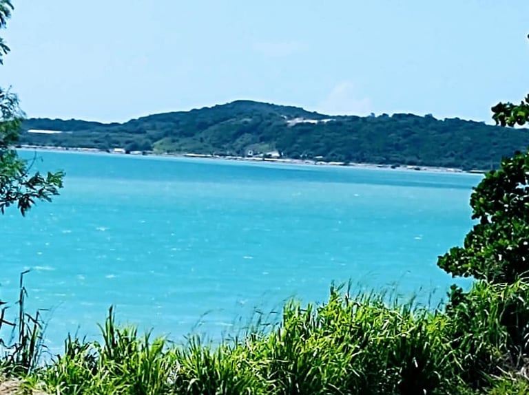 Tropical turquoise bay with forested hills, vegetation in foreground, and clear blue sky